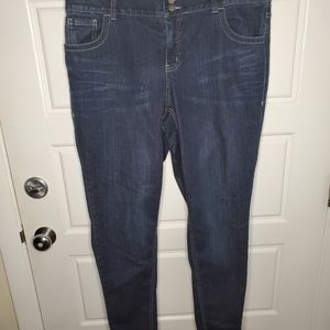 Lane Bryant Dark Wash Skinny Jeans